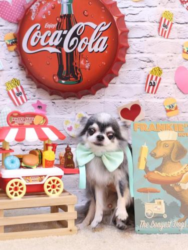 20230918クオンくん